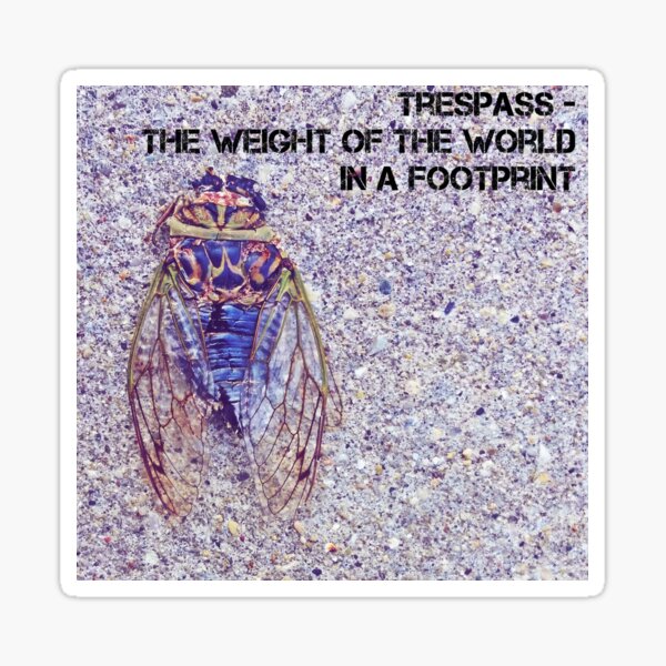 Item preview, cicada designed and sold by gatheringwonder.