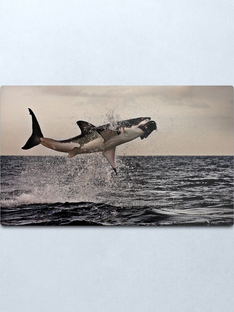 Alternate view of Air Jaws Metal Print