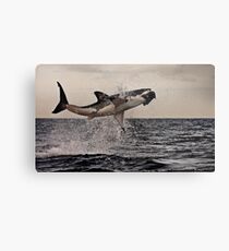 Air Jaws Metal Print