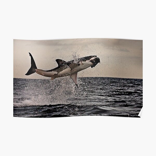 Air Jaws Poster