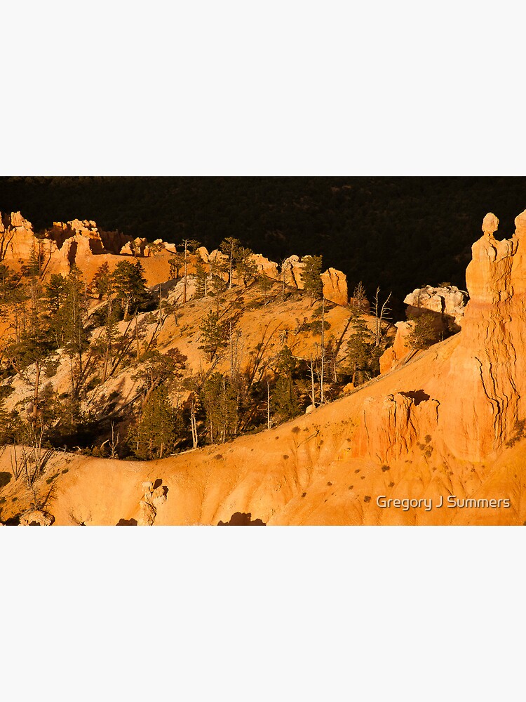 Golden Angels Of Bryce Canyon by nikongreg