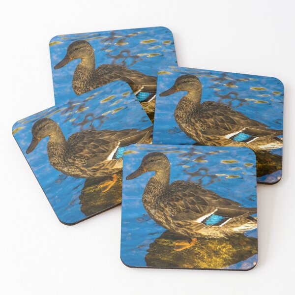 Item preview, Quack! designed and sold by StevenElliot.