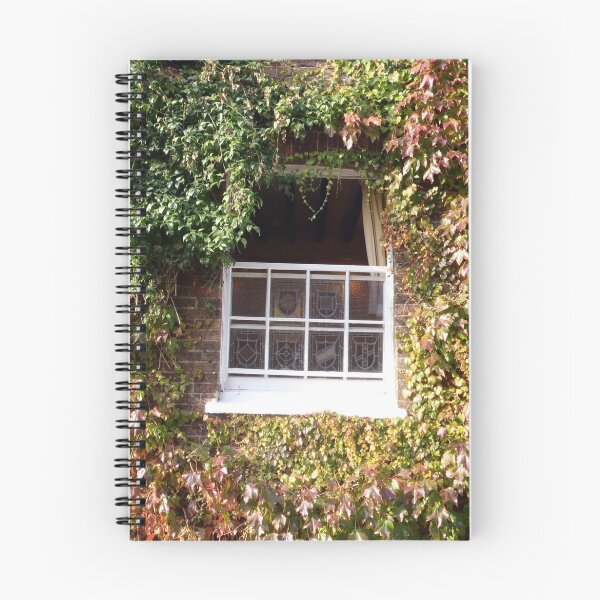Item preview, Window Masked with Ivy designed and sold by clarebearhh.