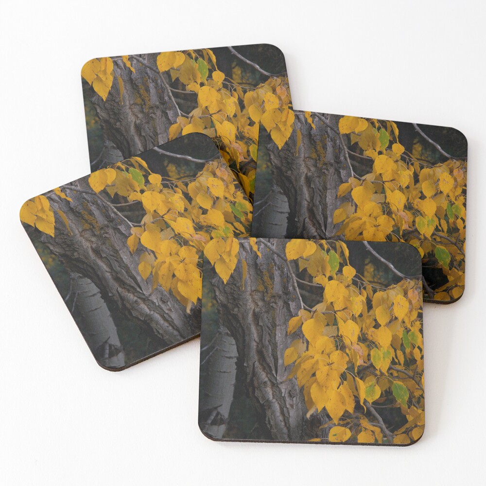 Item preview, Coasters (Set of 4) designed and sold by StevenElliot.