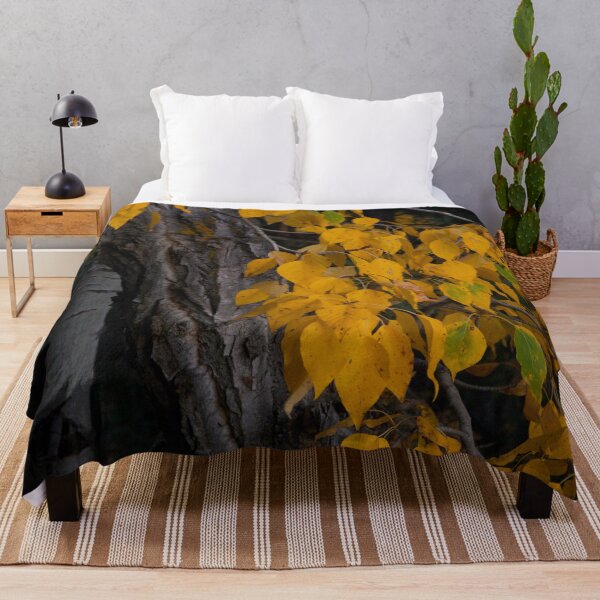 Item preview, Fall Leaves designed and sold by StevenElliot.