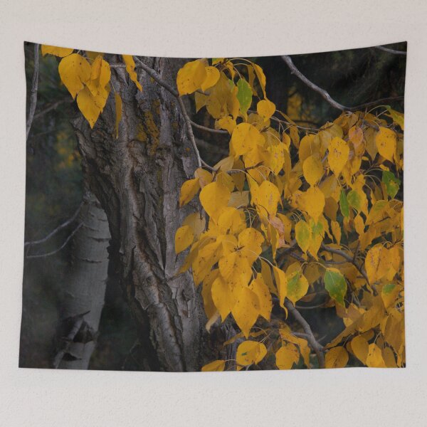 Item preview, Fall Leaves designed and sold by StevenElliot.