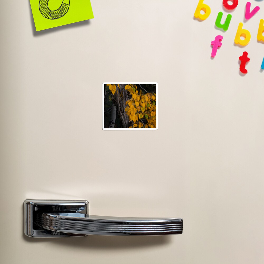 Item preview, Magnet designed and sold by StevenElliot.
