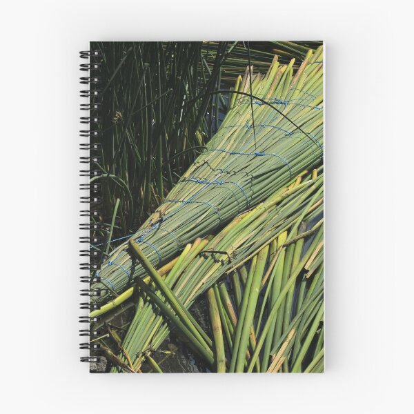 Item preview, Reed Raft in a Lake in Ibarra designed and sold by rhamm.