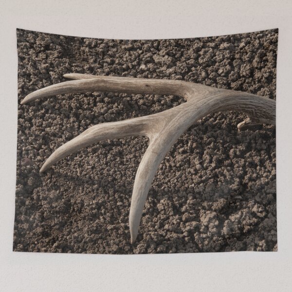Item preview, Lonley Antler designed and sold by StevenElliot.
