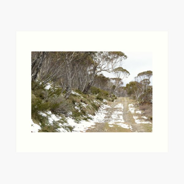 Item preview, Snow gums and the Road designed and sold by photosbymia.