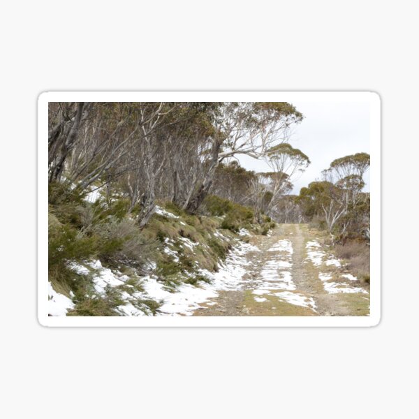 Item preview, Snow gums and the Road designed and sold by photosbymia.