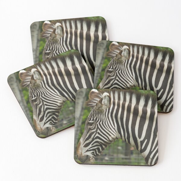 Item preview, Zebra Head shot designed and sold by StevenElliot.