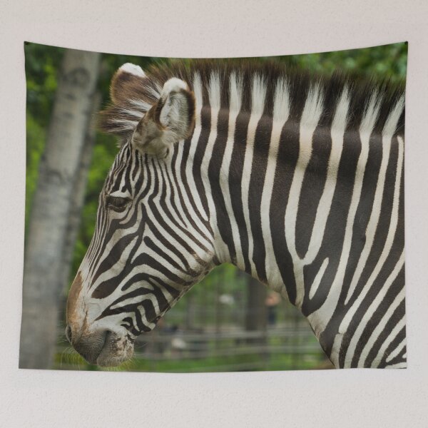 Item preview, Zebra Head shot designed and sold by StevenElliot.