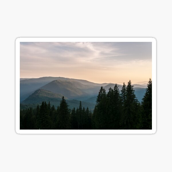 Evening Sticker