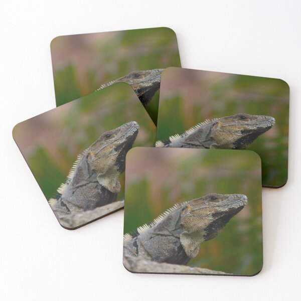 Item preview, Iguana  designed and sold by StevenElliot.