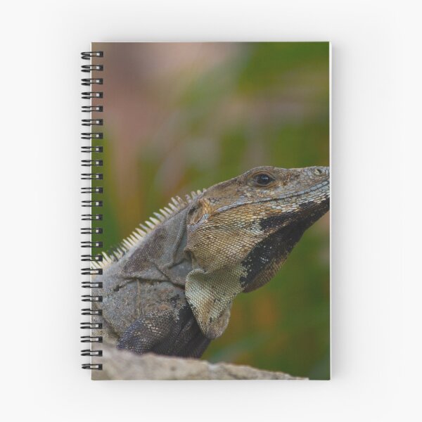 Item preview, Iguana  designed and sold by StevenElliot.