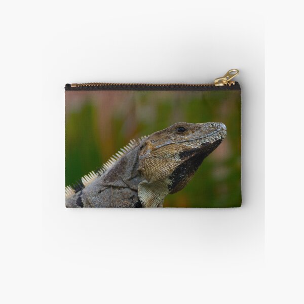 Item preview, Iguana  designed and sold by StevenElliot.