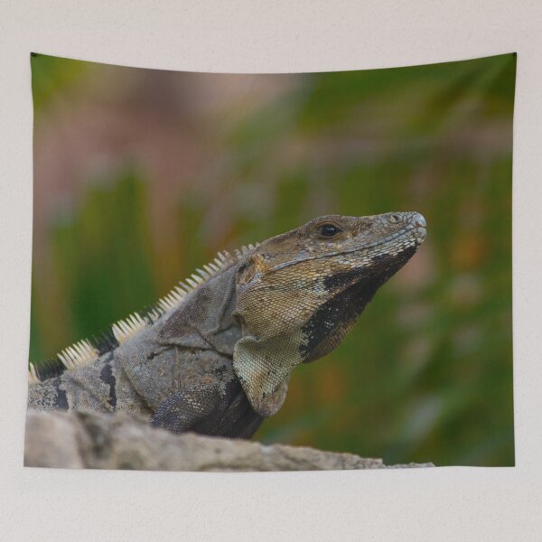 Item preview, Iguana  designed and sold by StevenElliot.