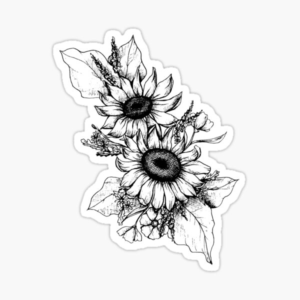 Artist Sketch Sunflower Drawing In Black And White Sticker By Melissapedersen Redbubble