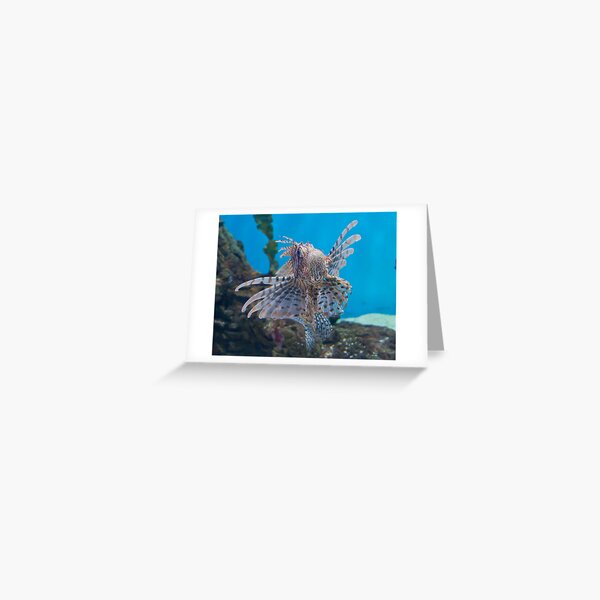 Fish in a Tank Greeting Card