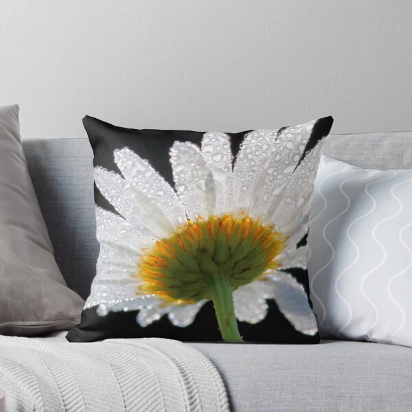 Item preview, Macro of wet daisy flower on black designed and sold by Grégory DUBUS.