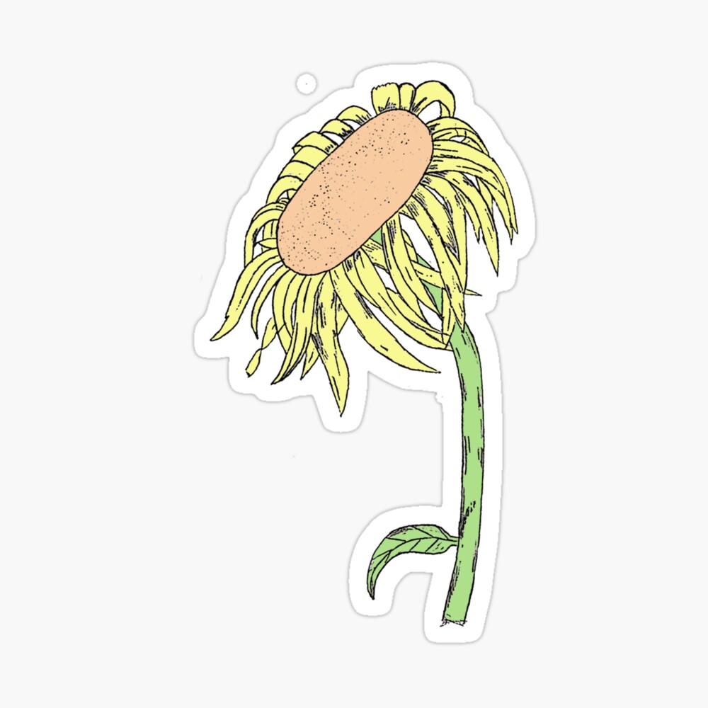 Wilting Sunflower - Original Line Drawing