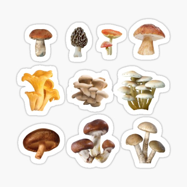 Wild Mushroom Sticker Set Sticker