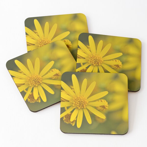 Item preview, Ragwort designed and sold by ImagineKaye.