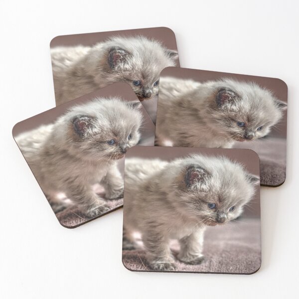 Item preview, Ragdoll Kitty designed and sold by ImagineKaye.