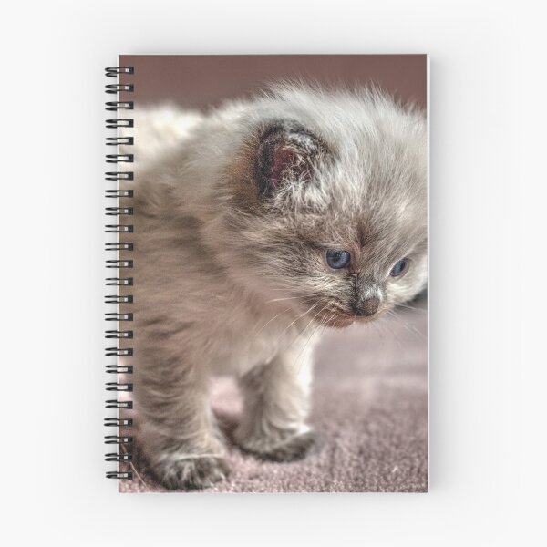Item preview, Ragdoll Kitty designed and sold by ImagineKaye.