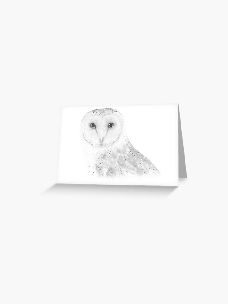 Beautiful Barn Owl Poster Black and White Print A3 Size Picture