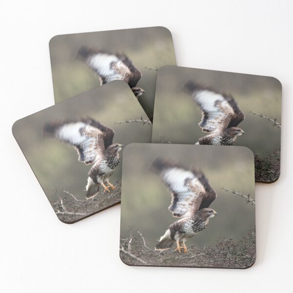 Item preview, buzzard ready to take off designed and sold by tammy mellor.