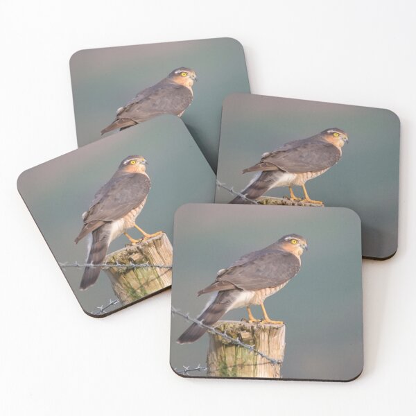 Item preview, sparrow hawk on the look out designed and sold by tammy mellor.