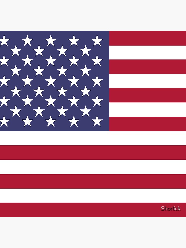 Aperçu 3 sur 3. Coussin avec l'œuvre Drapeau des Etats Unis créée et vendue par Shorlick.