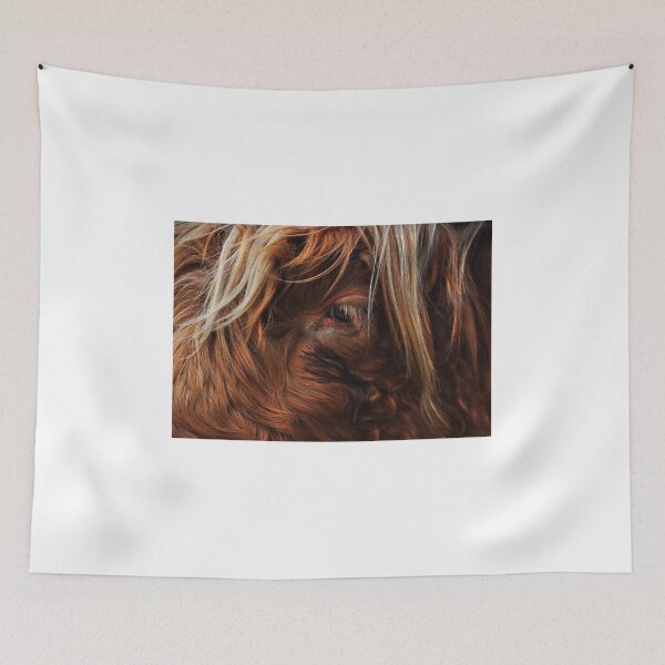 Item preview, Highland Cow Close Up. designed and sold by Rob-Turner.