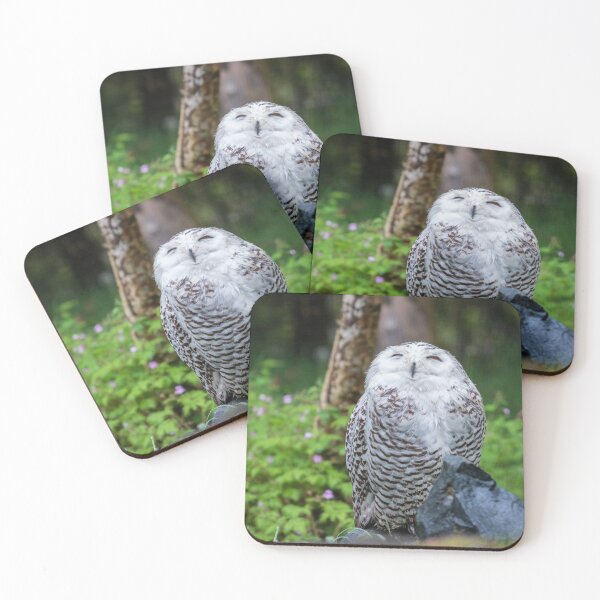 Item preview, Owl Owl designed and sold by Olek-Impek.