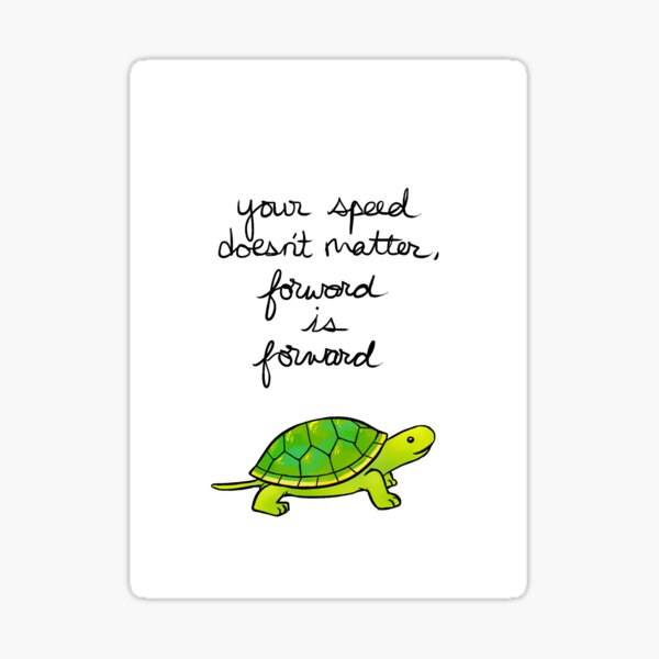 Mental Health Matters Affirmation Phrases Pack of 10 Vinyl Stickers –  Turtle's Soup