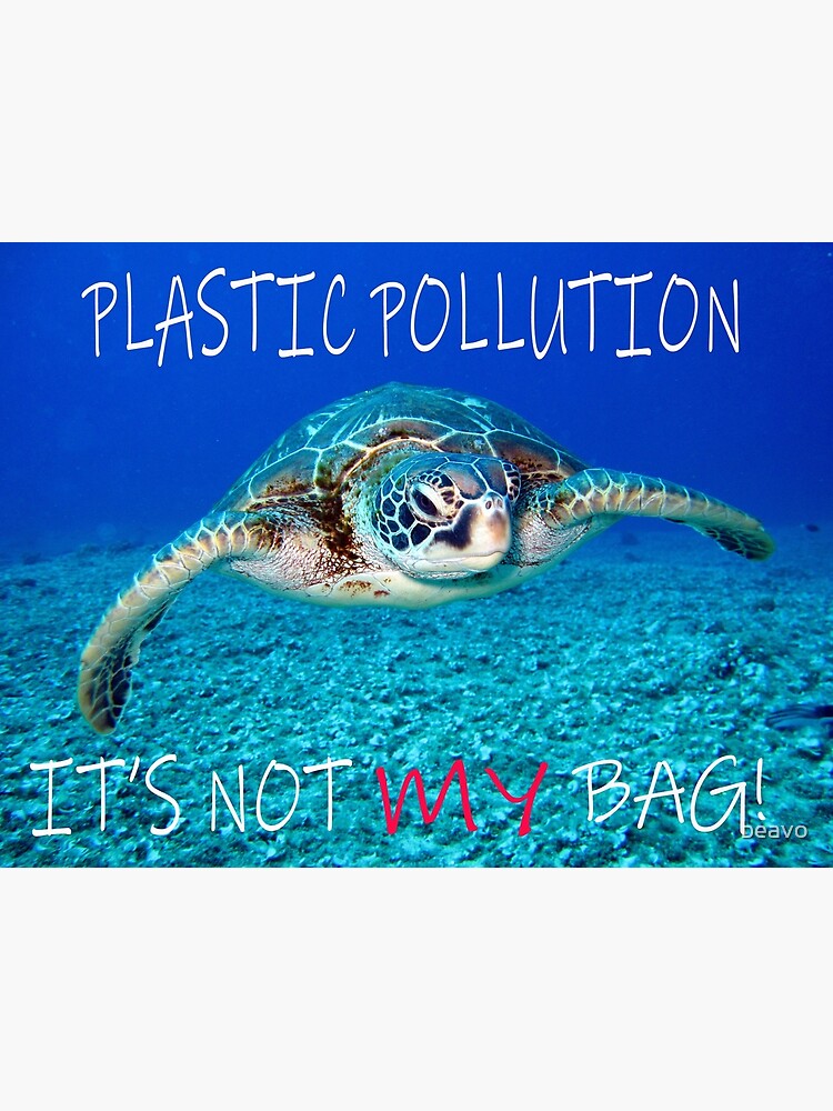 33 Plastic Pollution Quotes Provoking Action and Awareness
