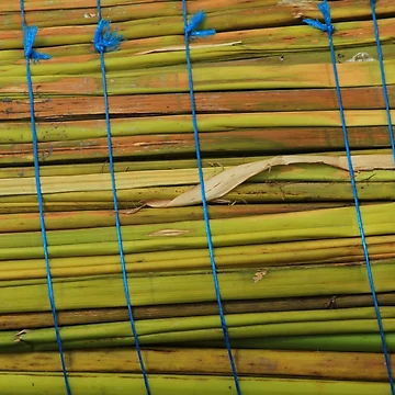 Artwork thumbnail, Tied Reeds by rhamm
