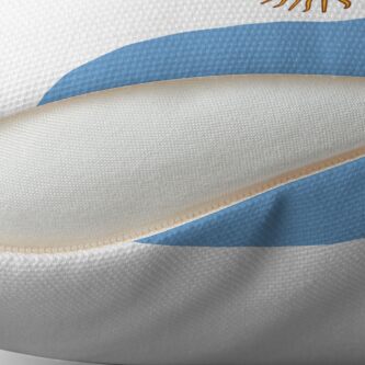 Aperçu 2 sur 3. Coussin avec l'œuvre Drapeau de l'Argentine créée et vendue par Shorlick.
