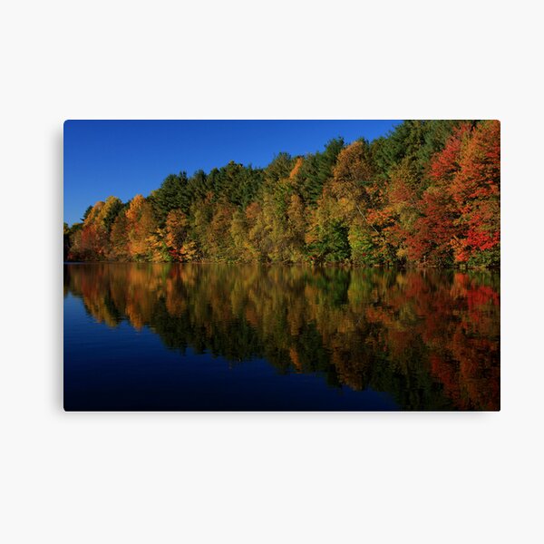 Autumn Reflection of Colors Canvas Print