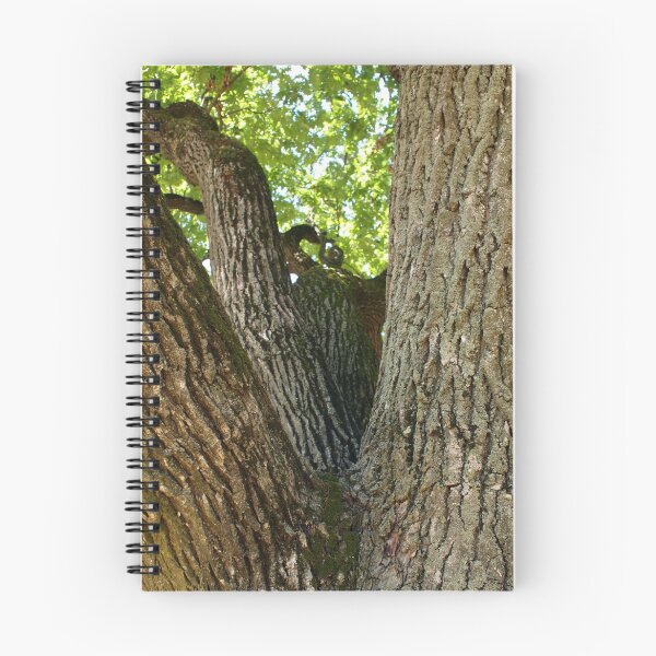 Item preview, The mighty and powerful oak branches designed and sold by vladromensky.