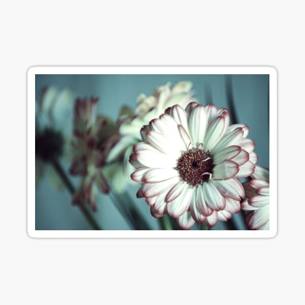 Flowers Sticker