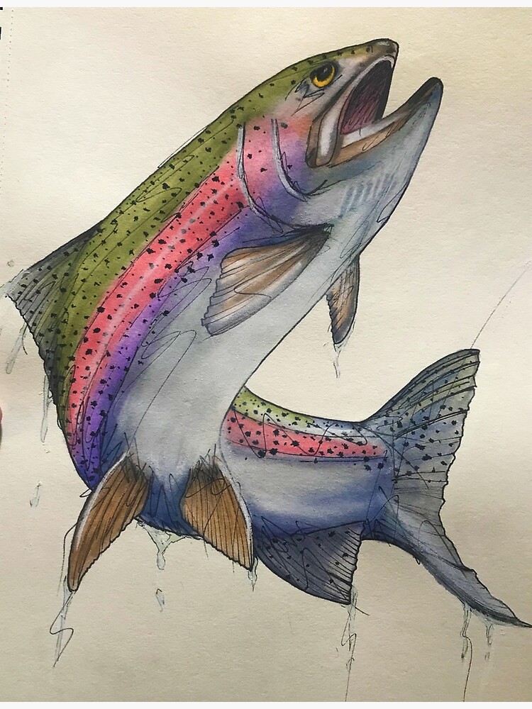 Procreate Rainbow Trout Framed Art Print for Sale by OldDawg
