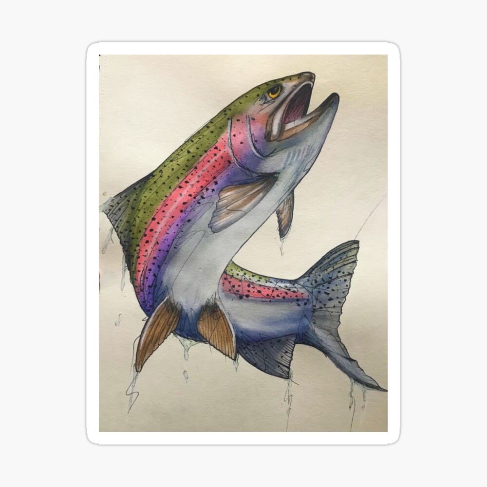 Rainbow Trout Canvas Prints