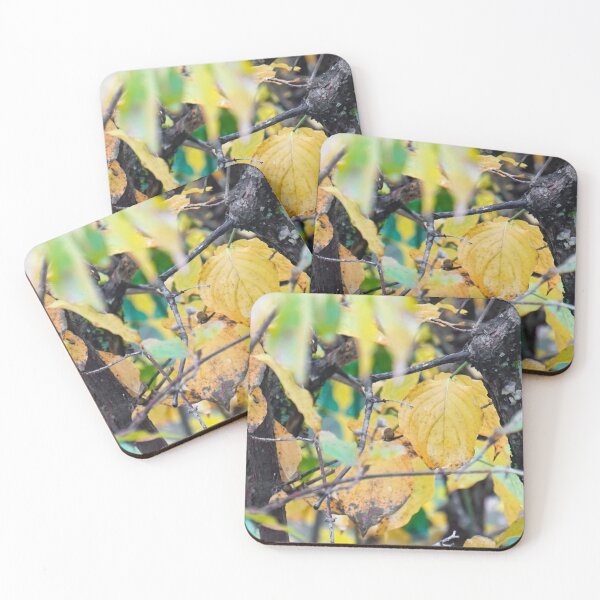 Item preview, dogwood designed and sold by Natalie Stark.