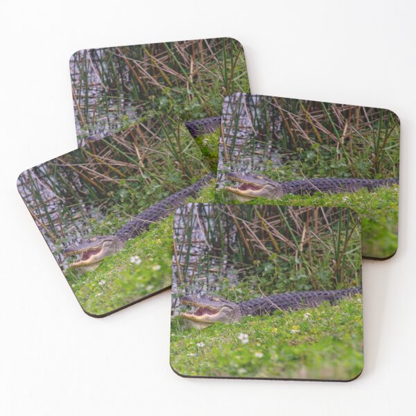 Item preview, Alligator Swamp Viera Wetlands Florida designed and sold by ValeriesGallery.