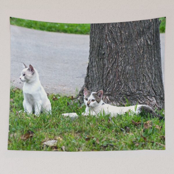Item preview, Just Hanging Around designed and sold by Frankie Cat Photography.