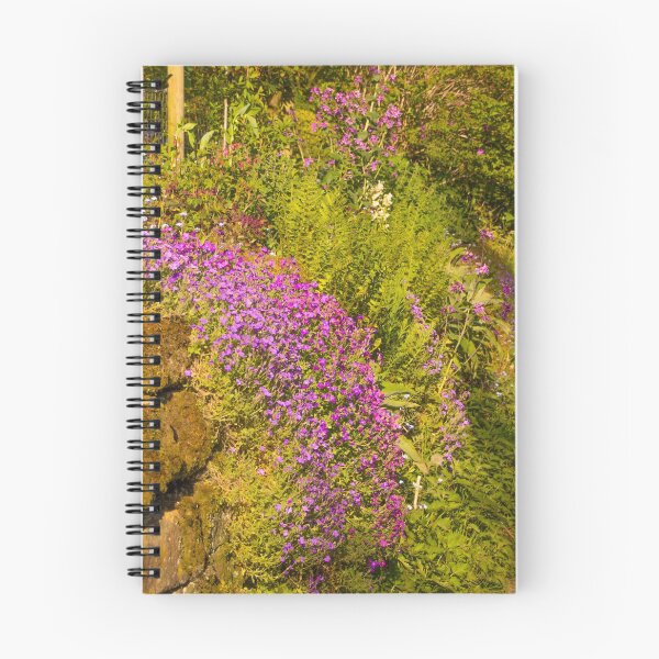 Item preview, #219 A bank of aubrieta at Lumsdale in the Peak District National Park designed and sold by phutball.