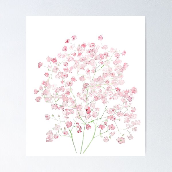 light pink Baby Breath Bouquet gypsophila watercolor painting